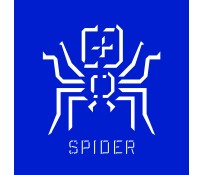 SPIDER – International Artistic Project (PAJEK – Mednarodni umetniški projekt)
