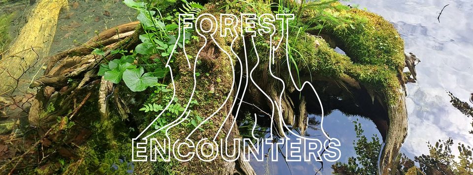 Srečevanja z gozdom (Forest Encounters)